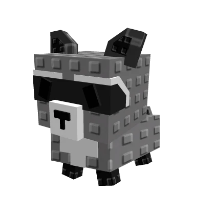 Raccoon